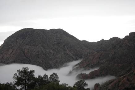 Up into the Chisos as fog blankets the basin